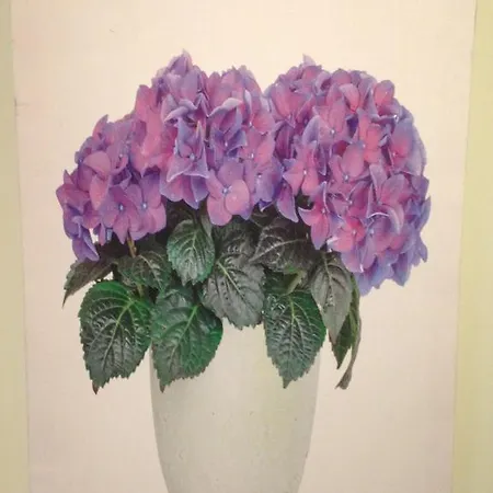 Хостел El De Herrera *