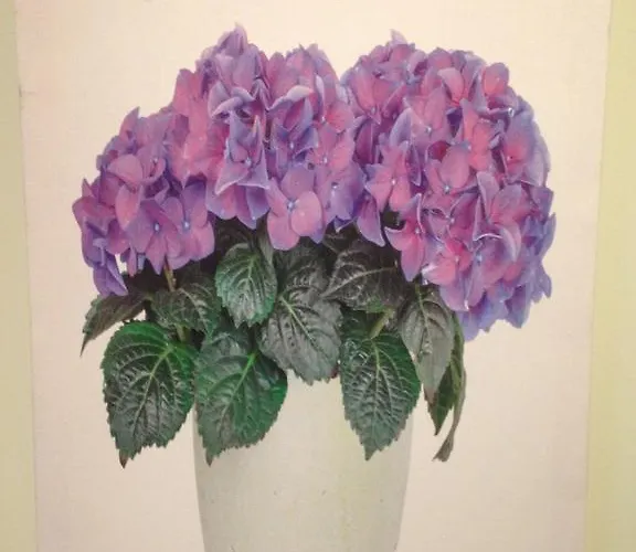 אכסניה El De Herrera *