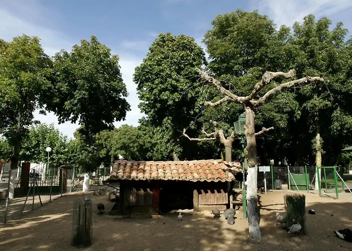 El De Herrera بيت شباب