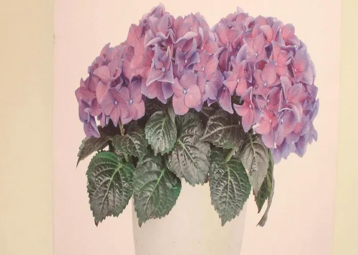 El De Herrera Herrera de Pisuerga